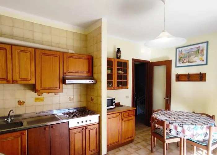 Ambra * ビビオーネ